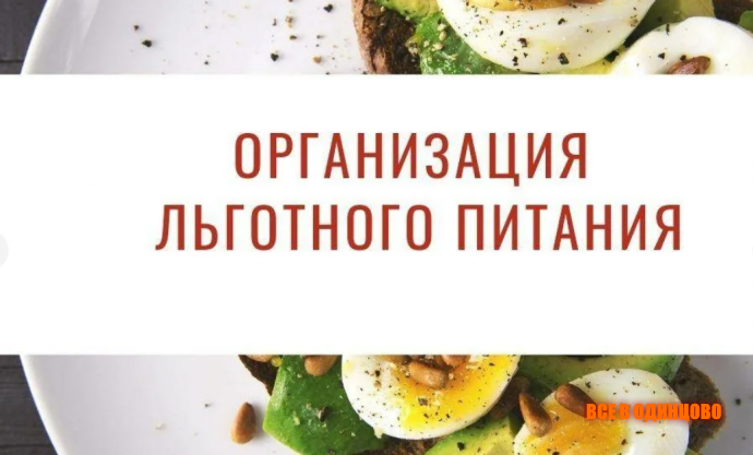 Оформить бесплатное питание для школьника в Одинцовском округе теперь можно онлайн (2026) Оформить бесплатное питание для школьника в Одинцовском округе теперь можно онлайн (2026)