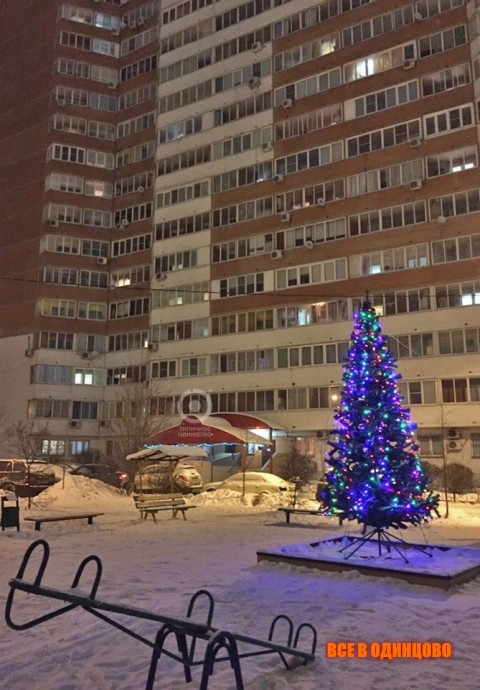 Новый год в Одинцово