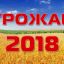 В Одинцово пройдёт ярмарка "Урожай 2018"
