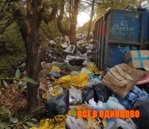 Одинцовский район утопает в мусоре