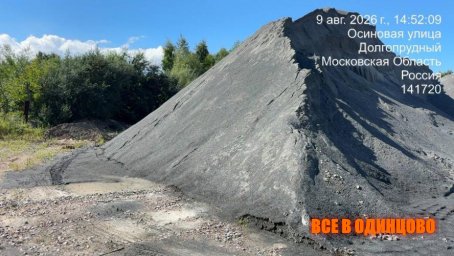 Долгопрудный бьет тревогу из-за катастрофического состояния воды в водоеме