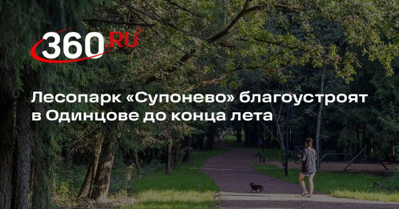Лесопарк &laquo;Супонево&raquo; благоустроят в Одинцове до конца лета