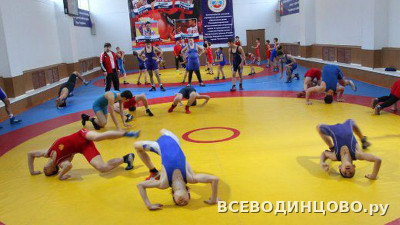Греко-римская борьба в Одинцово: секции и спортшколы (2026)