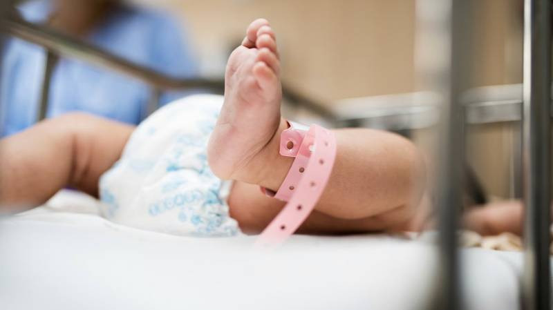 В Одинцовском роддоме за лето родились 779 детей: статистика по месяцам (2026)